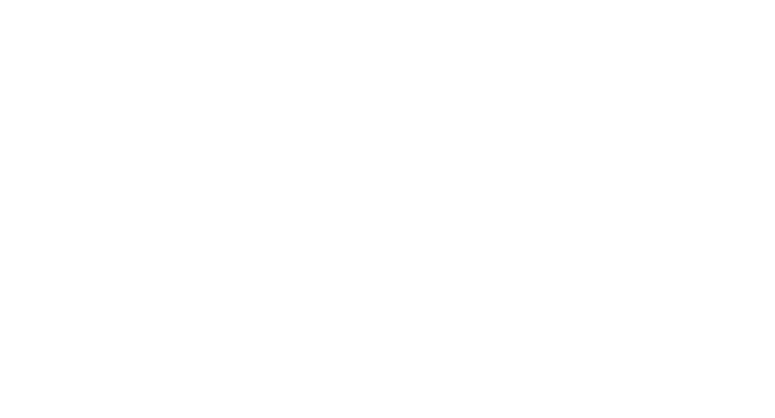 bpm-nex.jp ロゴ